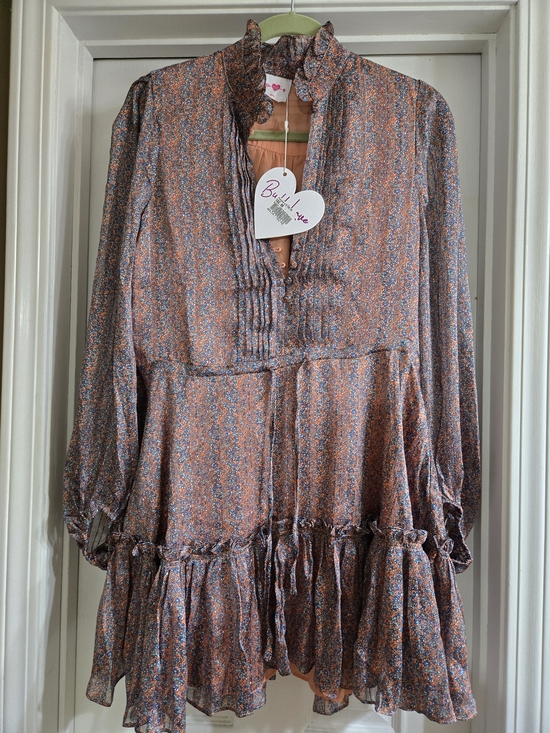 Buddy Love Dresses & Skirts - Buddy Love Rust and Blue Floral Ruffle Tiered Long Sleeve Dress